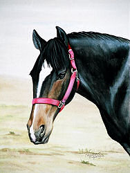 Horse Portrait