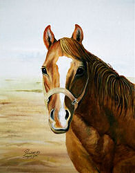Horse Portrait