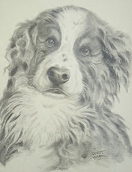 Dog Portrait